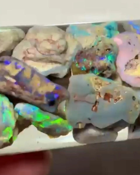 Knobby & Fossil opal rough Lightning Ridge 125.00cts Bright Multi Colours to go at 22x14x5 to 9x7x6mm NSW165