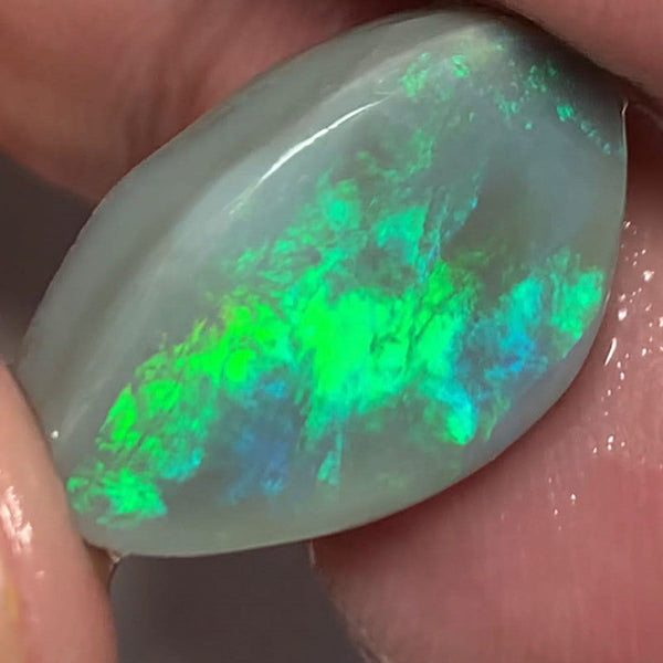 Lightning Ridge Opal Dark Base  Rough / Rub / Preform Gem Grade 11.5cts Big Clean amazing Bright Multi fires 21x13x5mm WSH38
