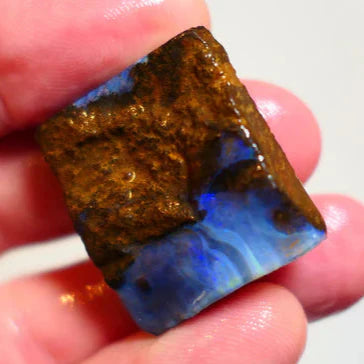 Opal Fever Mate Auction