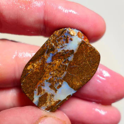 Opal Fever Mate Auction