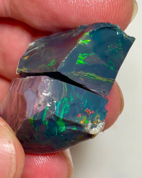 Big Thick Mulga® Black/Dark Seam opal rough pair to cut 67.75cts Wee Warra plains Reds/Golds/Greens Not something you see everyday 25x15x14mm & 22x14x9mm NEW957