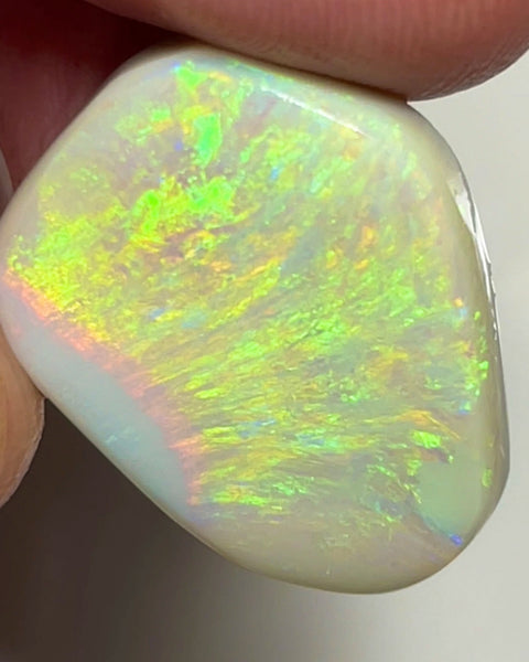 Huge Dark base opal rub rough preform from Lightning Ridge 24.50cts Bright & Gorgeous Yellow/Gold/Orange dominant fires 25.000 x 20.000 x 5.000 mm NEW915