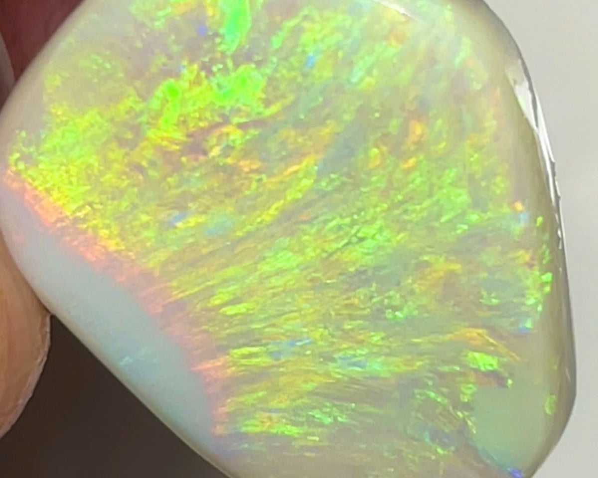 Huge Dark base opal rub rough preform from Lightning Ridge 24.50cts Bright & Gorgeous Yellow/Gold/Orange dominant fires 25.000 x 20.000 x 5.000 mm NEW915