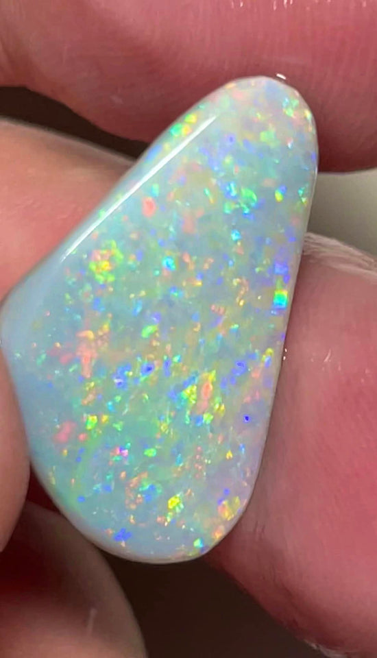 Lightning Ridge Rough / Rub Dark base opal Miners Bench® 6.75cts Big Clean & Gorgeous Multifires 25x15x2.5mm MFB8