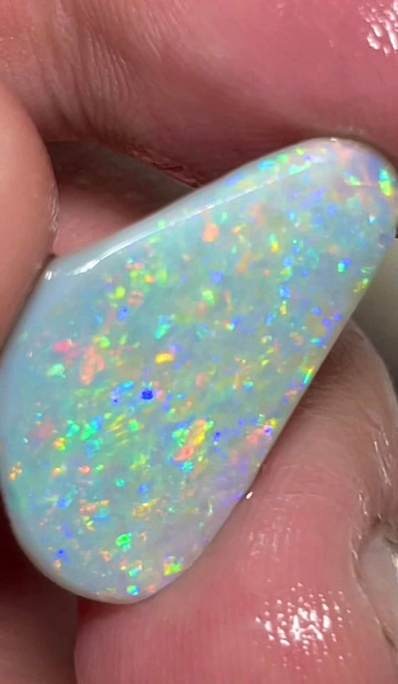 Lightning Ridge Rough / Rub Dark base opal Miners Bench® 6.75cts Big Clean & Gorgeous Multifires 25x15x2.5mm MFB8
