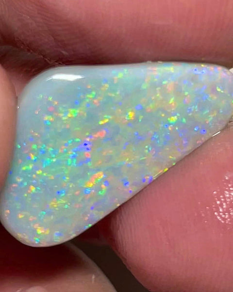Lightning Ridge Rough / Rub Dark base opal Miners Bench® 6.75cts Big Clean & Gorgeous Multifires 25x15x2.5mm MFB8