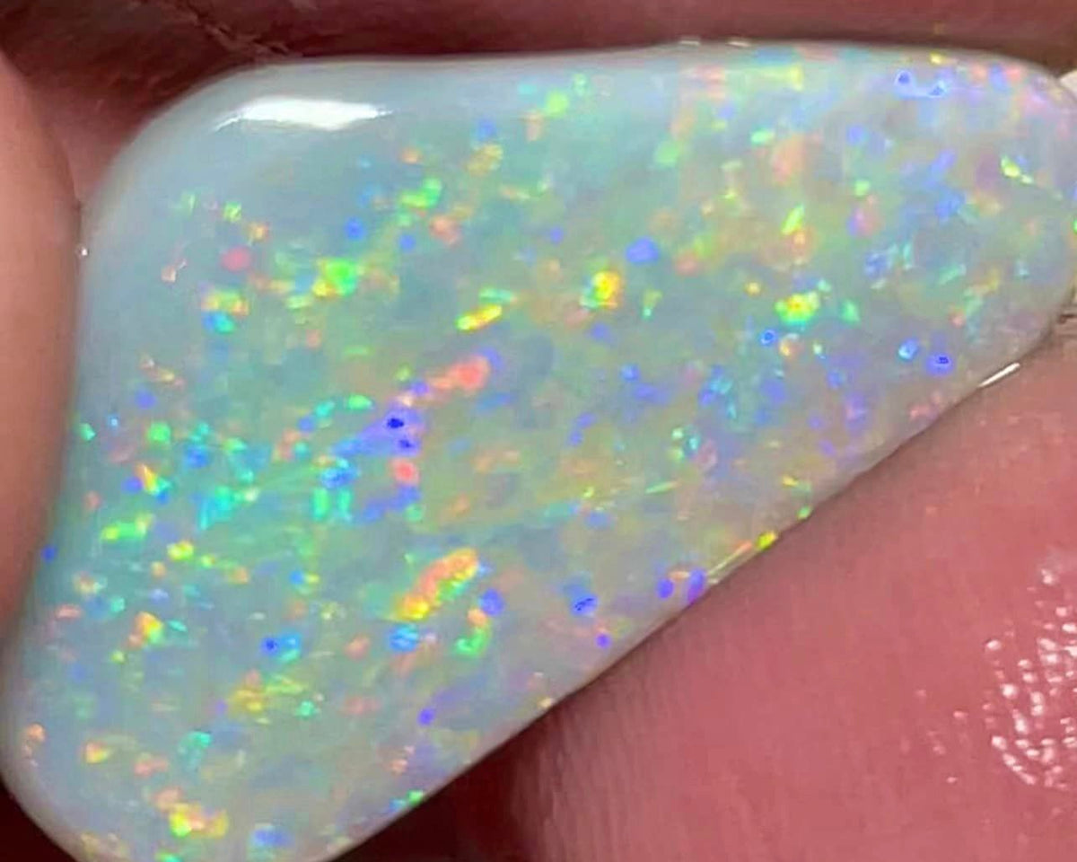 Lightning Ridge Rough / Rub Dark base opal Miners Bench® 6.75cts Big Clean & Gorgeous Multifires 25x15x2.5mm MFB8