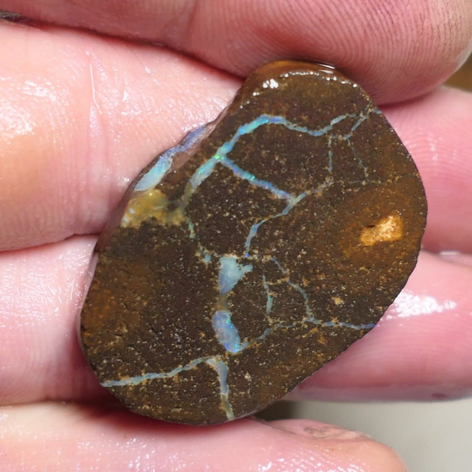 Opal Fever Mate Auction