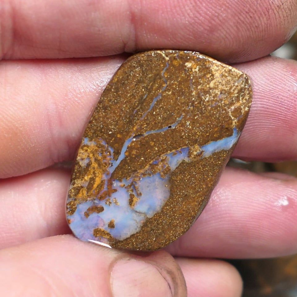 Opal Fever Mate Auction