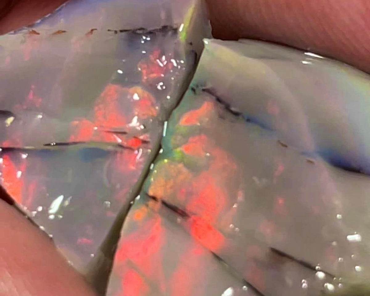 Lightning Ridge Reds on Dark Seam Split opal 33cts Nice size stunning exposed colours 23x15x7mm & 14x12x7mm  MFB46
