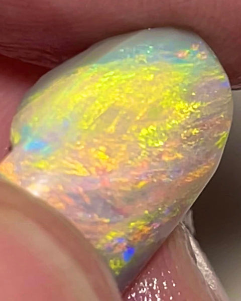 Lightning Ridge Rough / Rub Dark base opal Miners Bench® 7.5cts Red/Orange Dominant Vibrant Bright Multifires 14x11x8mm MFB44