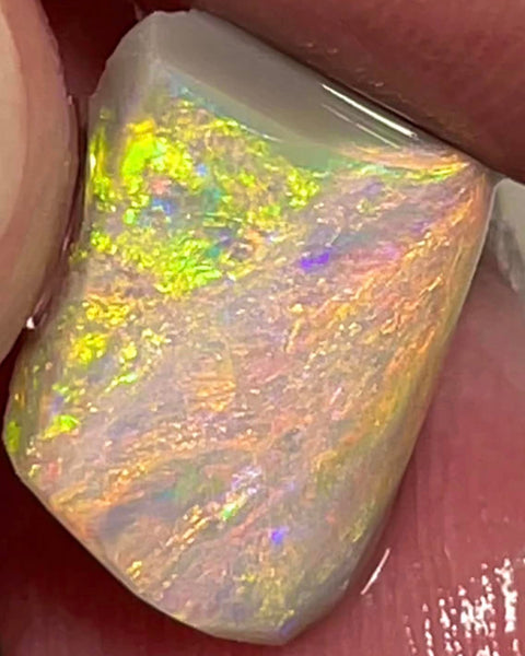 Lightning Ridge Rough / Rub Dark base opal Miners Bench® 7.5cts Red/Orange Dominant Vibrant Bright Multifires 14x11x8mm MFB44