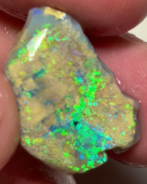 Super Bright & Colourful Vibrant rough opal of Lightning Ridge 12.75cts Gorgeous Display of Multifires  24.000 x 15.000 x 5.000 mm NSW152