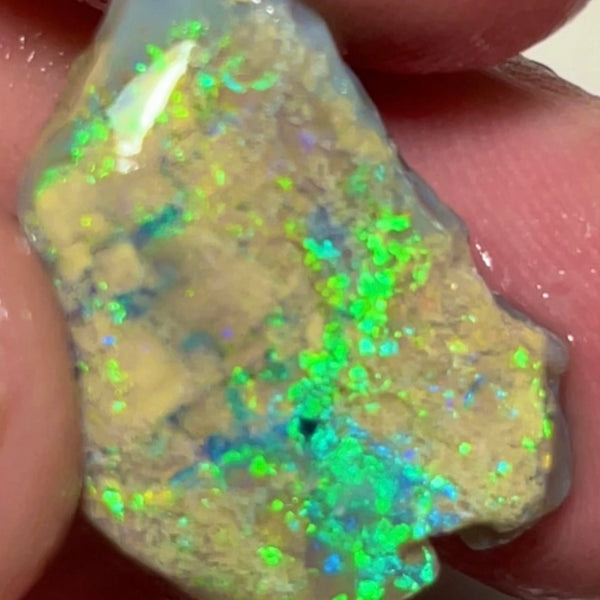 Super Bright & Colourful Vibrant rough opal of Lightning Ridge 12.75cts Gorgeous Display of Multifires  24.000 x 15.000 x 5.000 mm NSW152