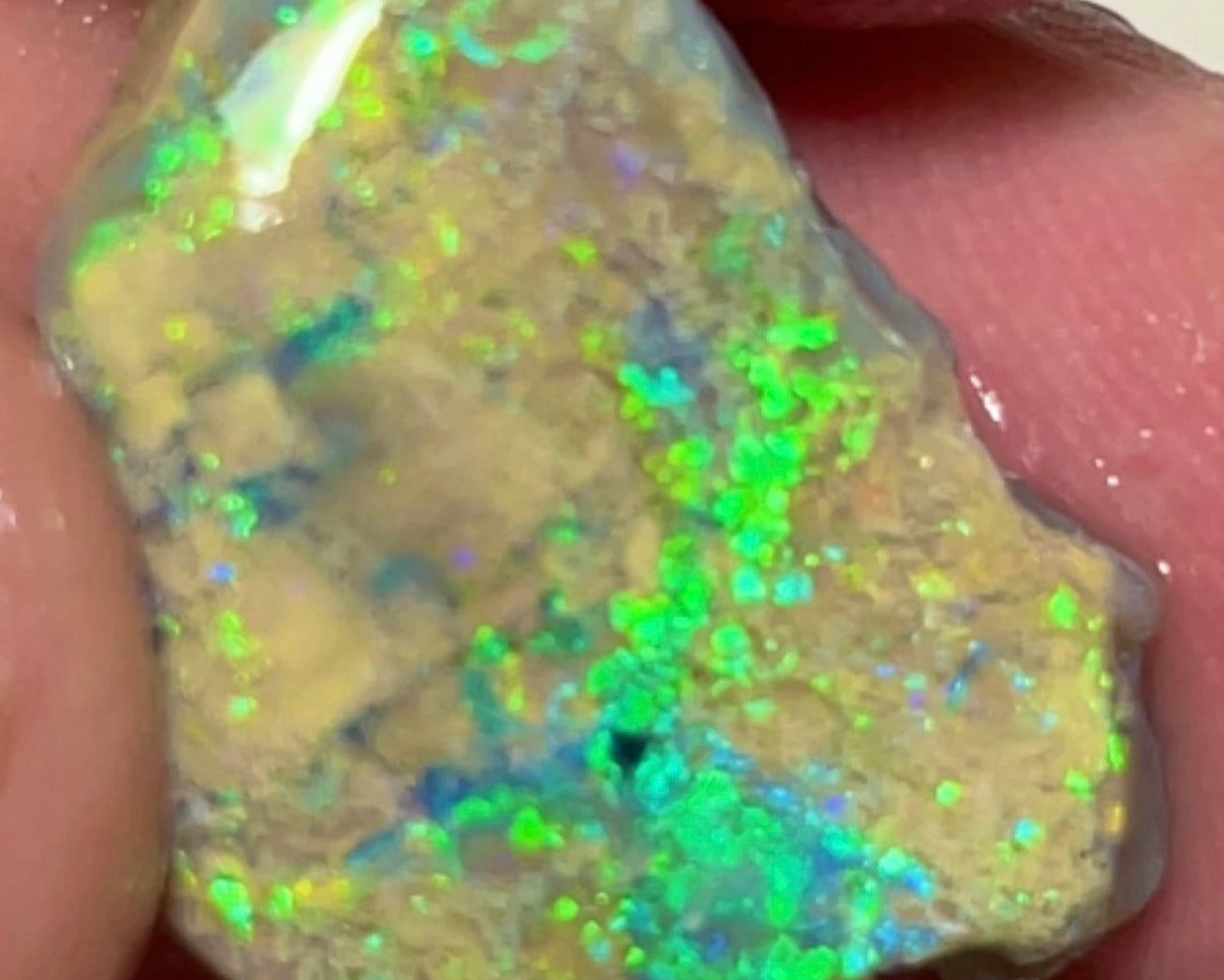 Super Bright & Colourful Vibrant rough opal of Lightning Ridge 12.75cts Gorgeous Display of Multifires  24.000 x 15.000 x 5.000 mm NSW152