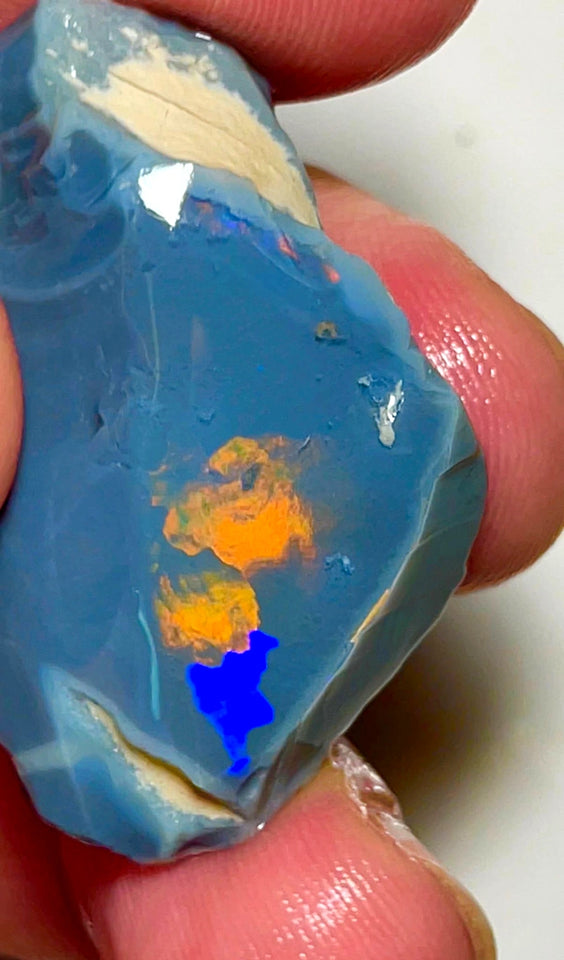 Lightning Ridge Opal Huge Rough/Rub Dark Base From the Miners Bench® 60cts Broad zones of Orange/Blue fires 39x24x12mm WAD29
