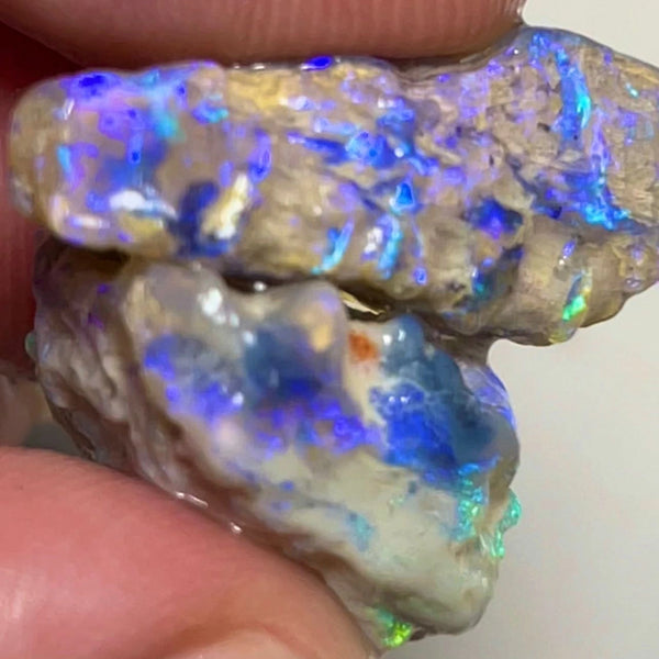 Lightning Ridge 25.75cts Rough Opal Crystal Knobby formations with Blue dominant Multi tones of fires 19x17x9 & 24x10x10mm NSW147