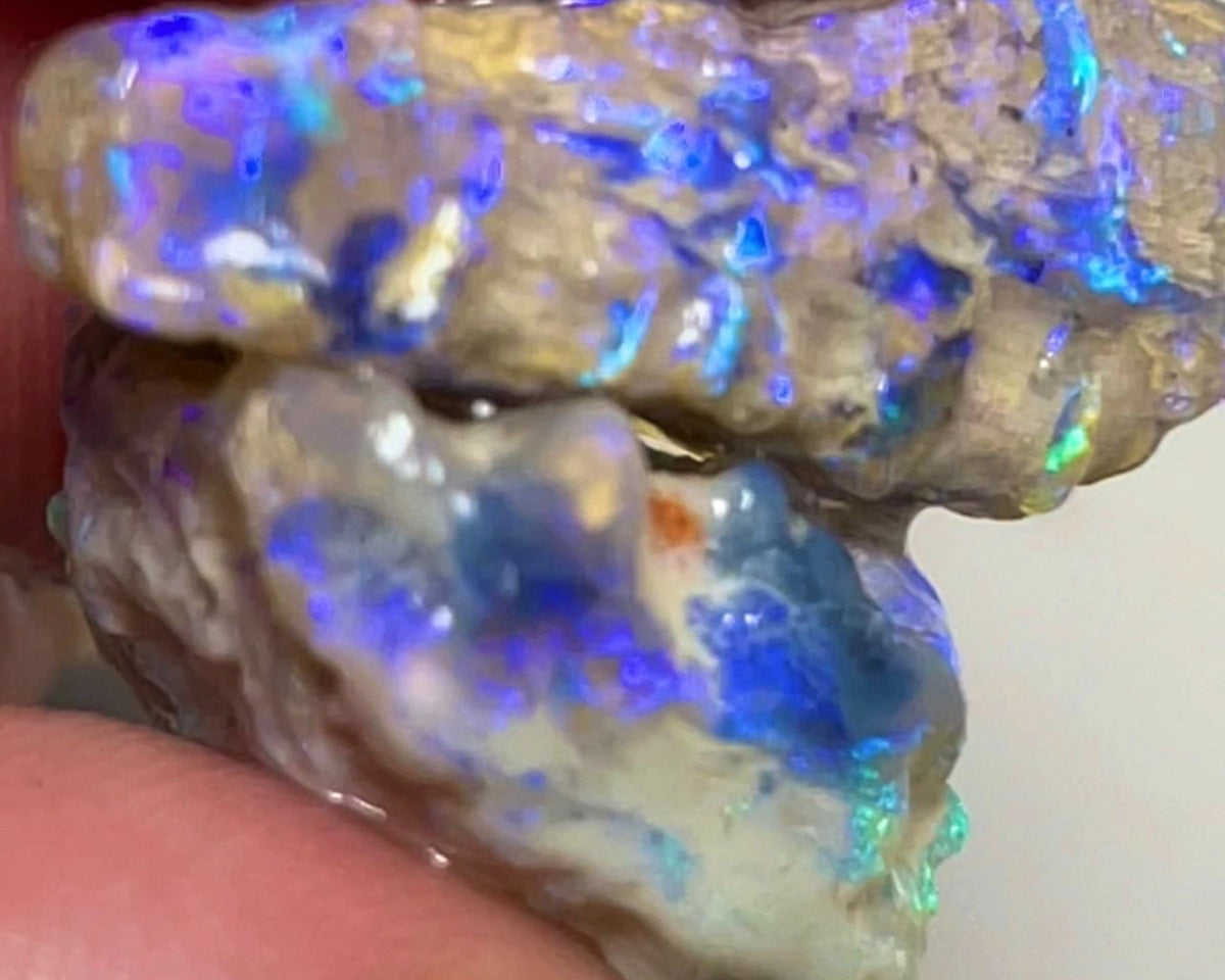 Lightning Ridge 25.75cts Rough Opal Crystal Knobby formations with Blue dominant Multi tones of fires 19x17x9 & 24x10x10mm NSW147