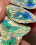 Lightning Ridge knobby opal rough 2 pairs of splits 59.00cts Gorgeous Green Blue dominant Multicolours to cut 23x15x12 to 20x12x8mm NSW089