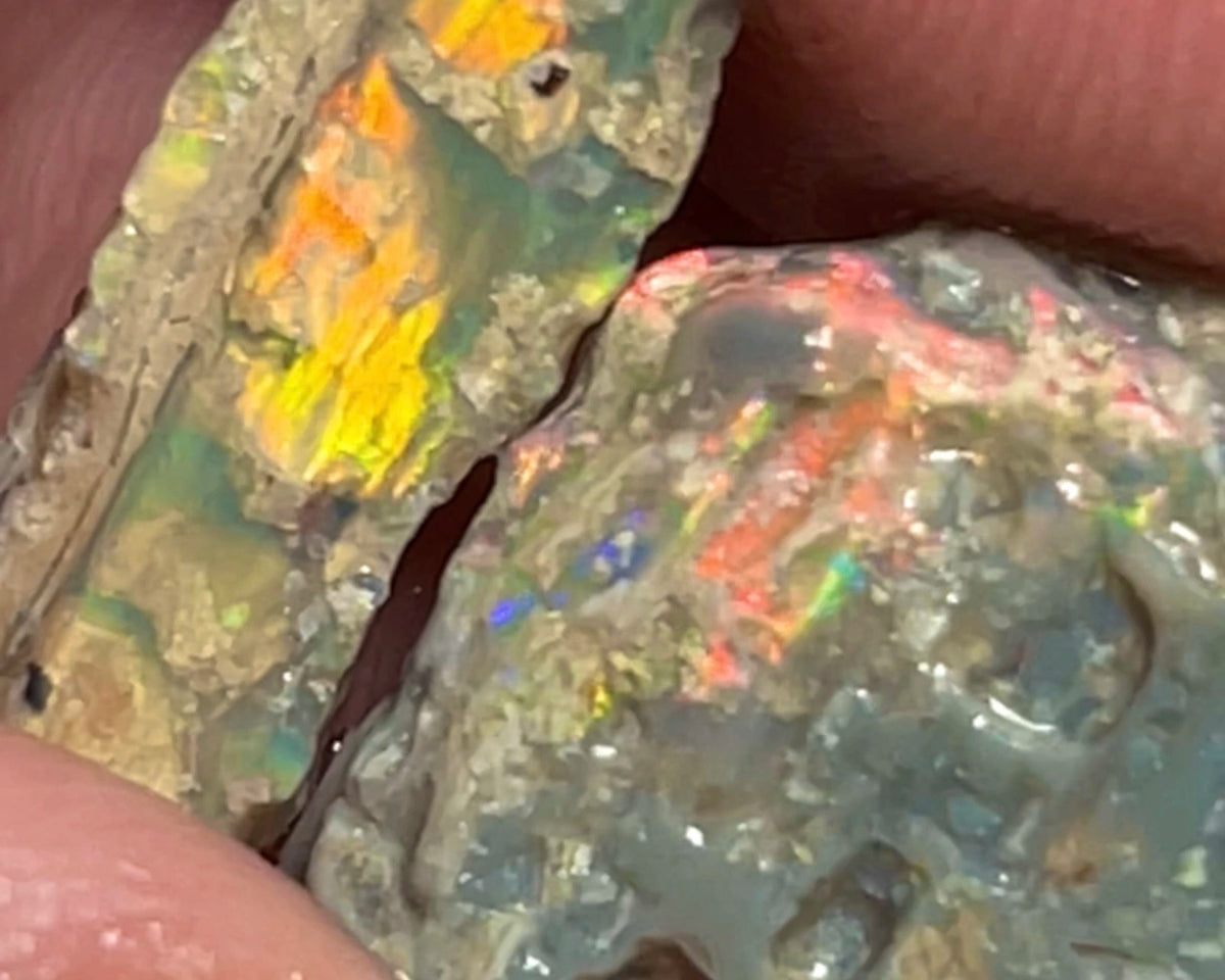 Lightning Ridge Rough Opalised Wood Fossil Rough pair 8.75cts  Orange/Yellow/Red Dominant M.fires 14x13x3mm & 17x5x3mm NSW134