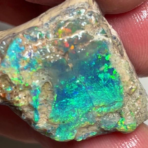 Coocoran Opal formation rub/rough 45.00cts Stunning Golds/Greens/Reds & Bright Multifires to exposed face  25.000 x 24.000 x 13.000mmmm NSW073