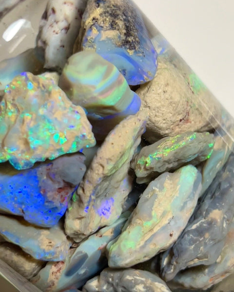 Lightning Ridge knobby opal parcel 439.00cts Lots of Multifires here To explore & Cut 30x20x9mm to 12x9x5mm NEW938