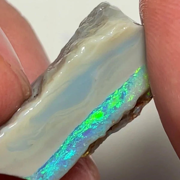 Lightning Ridge 16.75cts Rough Opal Dark Seam to cut gorgeous Multifires 27x10x9 mm NSW143