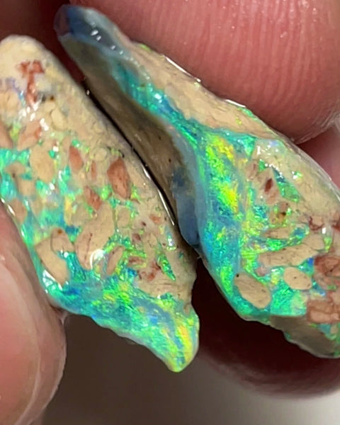 Stunning Pair of Coocoran rough opal formations 24.50cts Stunning Bright Yellow & Greens dominant fires 25x12x8 & 20x14x7mm  NSW157