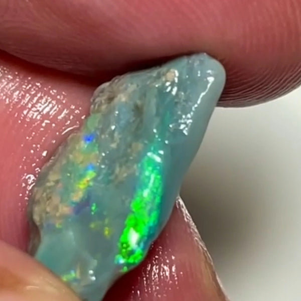 Bright Multicolours on this Dark base knobby opal rough 7.95cts Lightning Ridge Material to cut 20x12x4mm NSW193