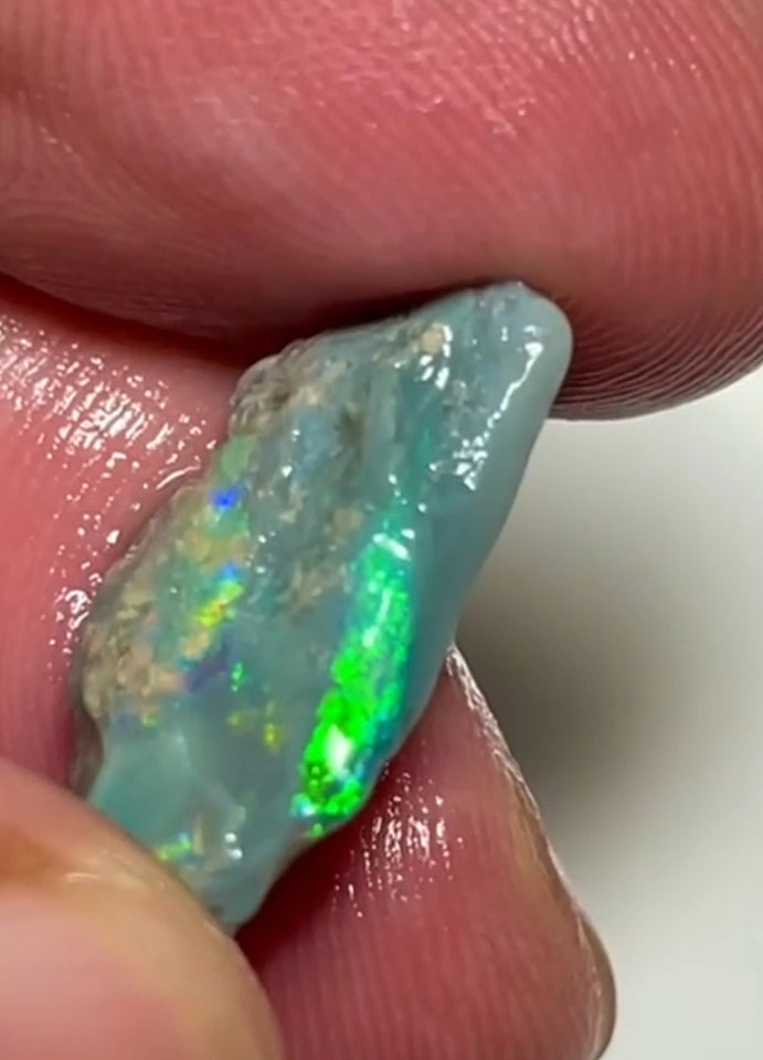 Bright Multicolours on this Dark base knobby opal rough 7.95cts Lightning Ridge Material to cut 20x12x4mm NSW193