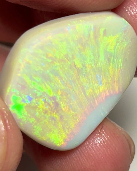 Huge Dark base opal rub rough preform from Lightning Ridge 24.50cts Bright & Gorgeous Yellow/Gold/Orange dominant fires 25.000 x 20.000 x 5.000 mm NEW915