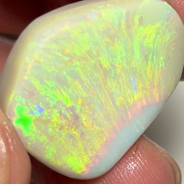 Huge Dark base opal rub rough preform from Lightning Ridge 24.50cts Bright & Gorgeous Yellow/Gold/Orange dominant fires 25.000 x 20.000 x 5.000 mm NEW915