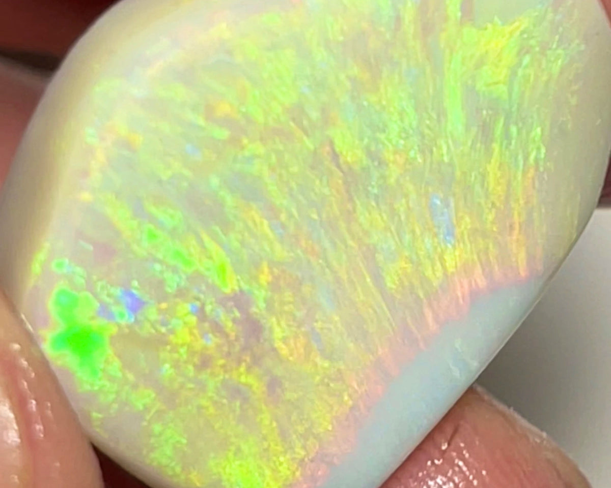 Huge Dark base opal rub rough preform from Lightning Ridge 24.50cts Bright & Gorgeous Yellow/Gold/Orange dominant fires 25.000 x 20.000 x 5.000 mm NEW915