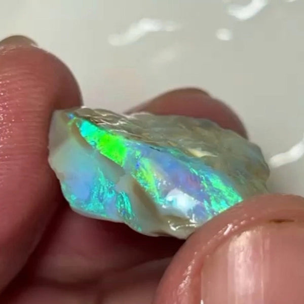 One to cut  Lightning Ridge Dark base Crystal Seam opal rough 19.00cts Very Bright Yellow/Green/Blue Dominant fires to cut & polish  24.000 x 20.000 x 8.000 mm NEW901