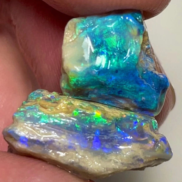 Lightning Ridge Gorgeous knobby opal rough Pair 22.50cts Gorgeous Bright Greens & Blues dominant  to cut 20x15x10mm & 12x10x8mm NSW096