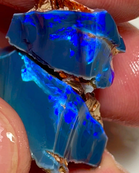 Gem Thick Black Seam opal rough split 55.00cts Lightning Ridge Bright Vibrant Blue dominant fires to cut 30x15x12 & 20x18x11mm NEW924