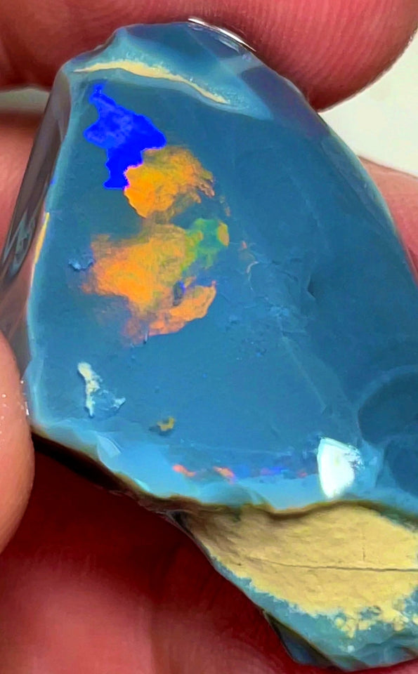 Lightning Ridge Opal Huge Rough/Rub Dark Base From the Miners Bench® 60cts Broad zones of Orange/Blue fires 39x24x12mm WAD29