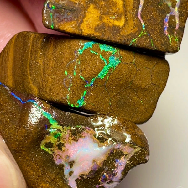 Bling Bling Boulder opal 126cts rough Nice Sized Exotic Gem Winton Bright & Gorgeous Reds &  Multifires 25x17x11mm 22x11x9mm NSA011