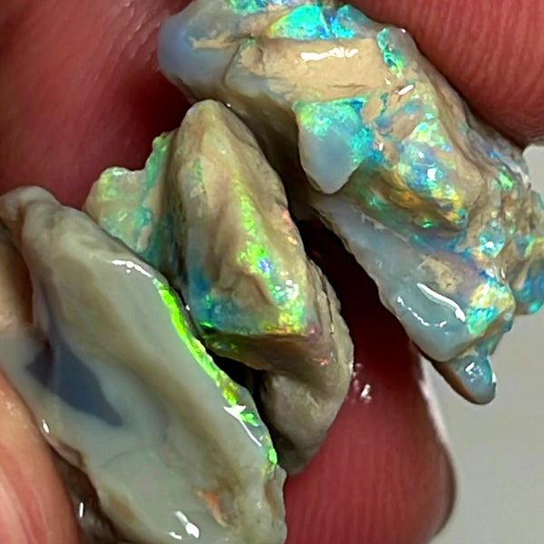 Lightning Ridge Opal Rough Dark Base Seam Stack Potential 33cts Multicolours showing in the bars 27x18x7mm to 16x14x7mm WAE31