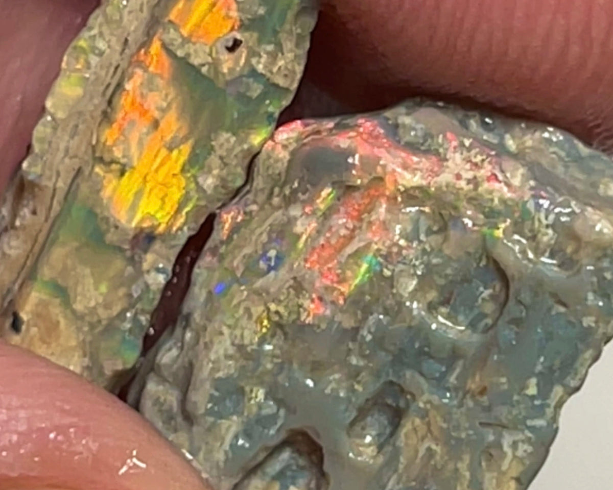 Lightning Ridge Rough Opalised Wood Fossil Rough pair 8.75cts  Orange/Yellow/Red Dominant M.fires 14x13x3mm & 17x5x3mm NSW134