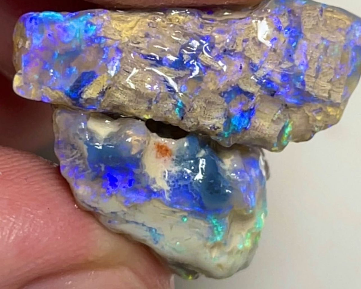 Lightning Ridge 25.75cts Rough Opal Crystal Knobby formations with Blue dominant Multi tones of fires 19x17x9 & 24x10x10mm NSW147
