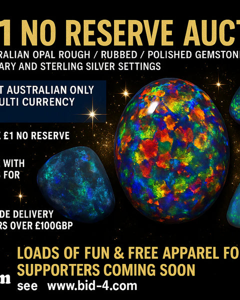 Want to Bid for Opal via £1 no reserve Auctions ? Check out these previews for www.bid4opal.com / www.bid-4.com