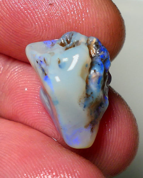 Lightning Ridge Rough Opal 14.50cts Dark Base Gamble Knobby formation Gorgeous blue fires 20x12x12mm NS052