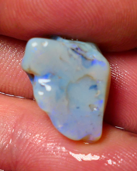 Lightning Ridge Rough Opal 14.50cts Dark Base Gamble Knobby formation Gorgeous blue fires 20x12x12mm NS052