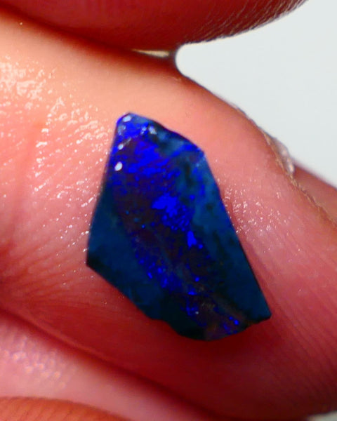 Lightning Ridge Rough / Rub opal Miners Bench® 1.25cts Bright Blues on black double sided 12x7x2mm NS094
