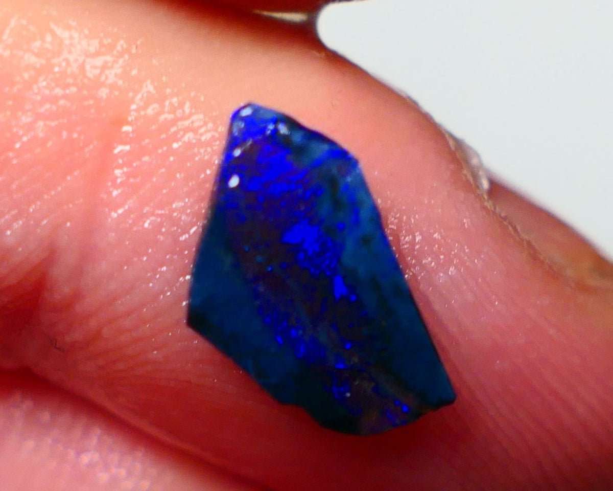 Lightning Ridge Rough / Rub opal Miners Bench® 1.25cts Bright Blues on black double sided 12x7x2mm NS094