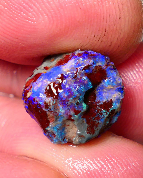 Lightning Ridge Rough Opal 7.75cts Dark Base Gamble Knobby formation Gorgeous blue fires 14x14x9mm NS106