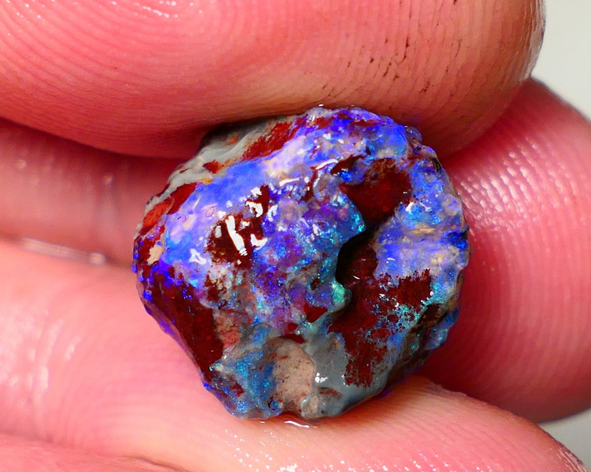 Lightning Ridge Rough Opal 7.75cts Dark Base Gamble Knobby formation Gorgeous blue fires 14x14x9mm NS106