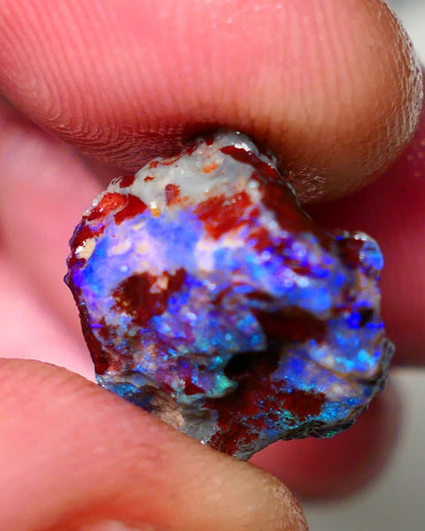 Lightning Ridge Rough Opal 7.75cts Dark Base Gamble Knobby formation Gorgeous blue fires 14x14x9mm NS106