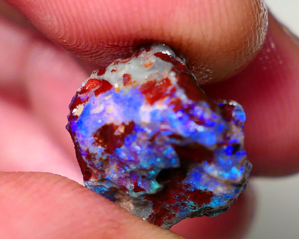 Lightning Ridge Rough Opal 7.75cts Dark Base Gamble Knobby formation Gorgeous blue fires 14x14x9mm NS106